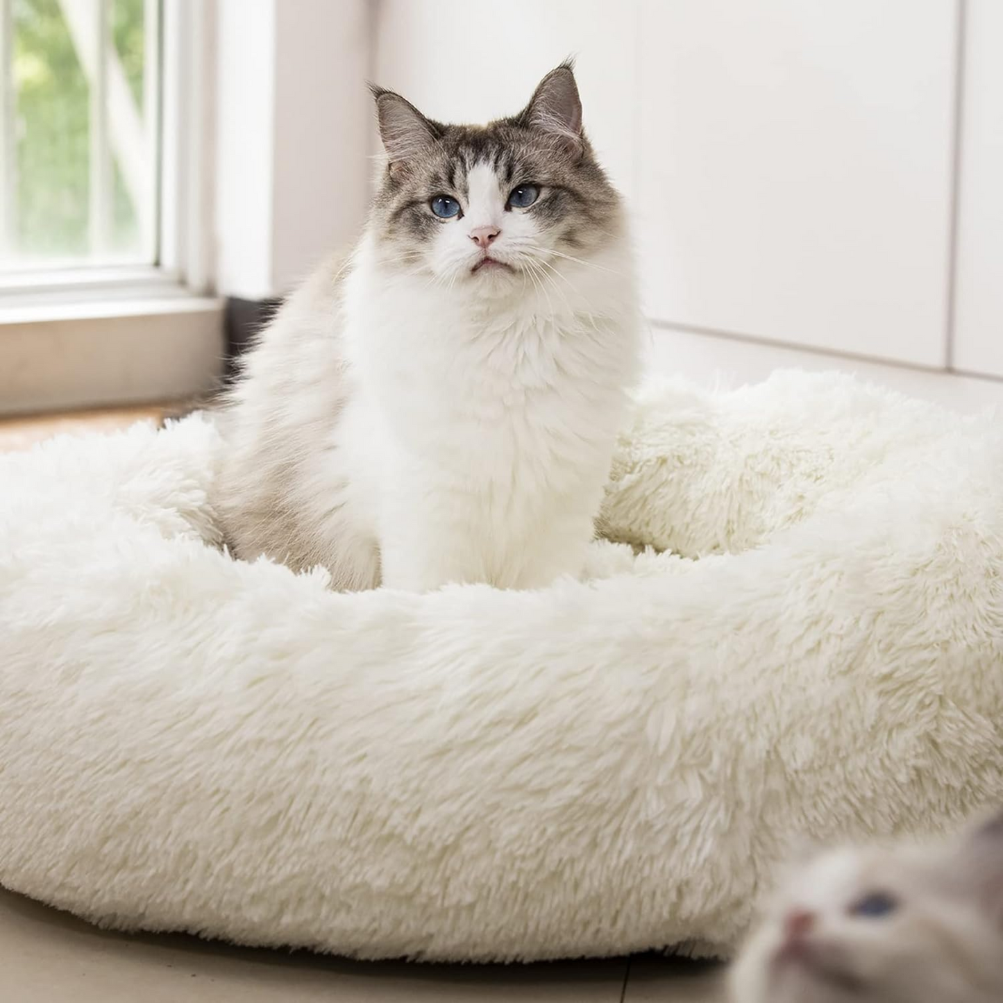 Paw Luxe Anti-Anxiety Plush Faux Fur Pet Bed β Warm & Washable Round Bed for Dogs & Cats β Joint Relief & Ultimate Comfort (20"/24"/27" Options, 27" White)