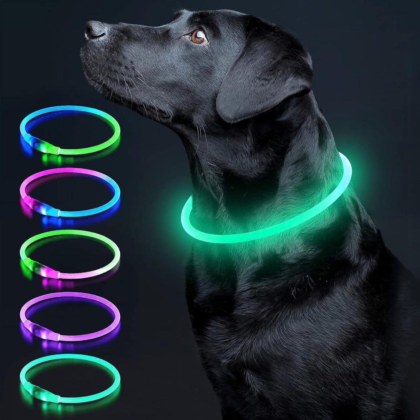 USB Rechargeable LED Dog Collar – Glow-in-the-Dark Safety Collar for Small, Medium, and Large Dogs, Durable TPU Light-Up Design (Cyan)