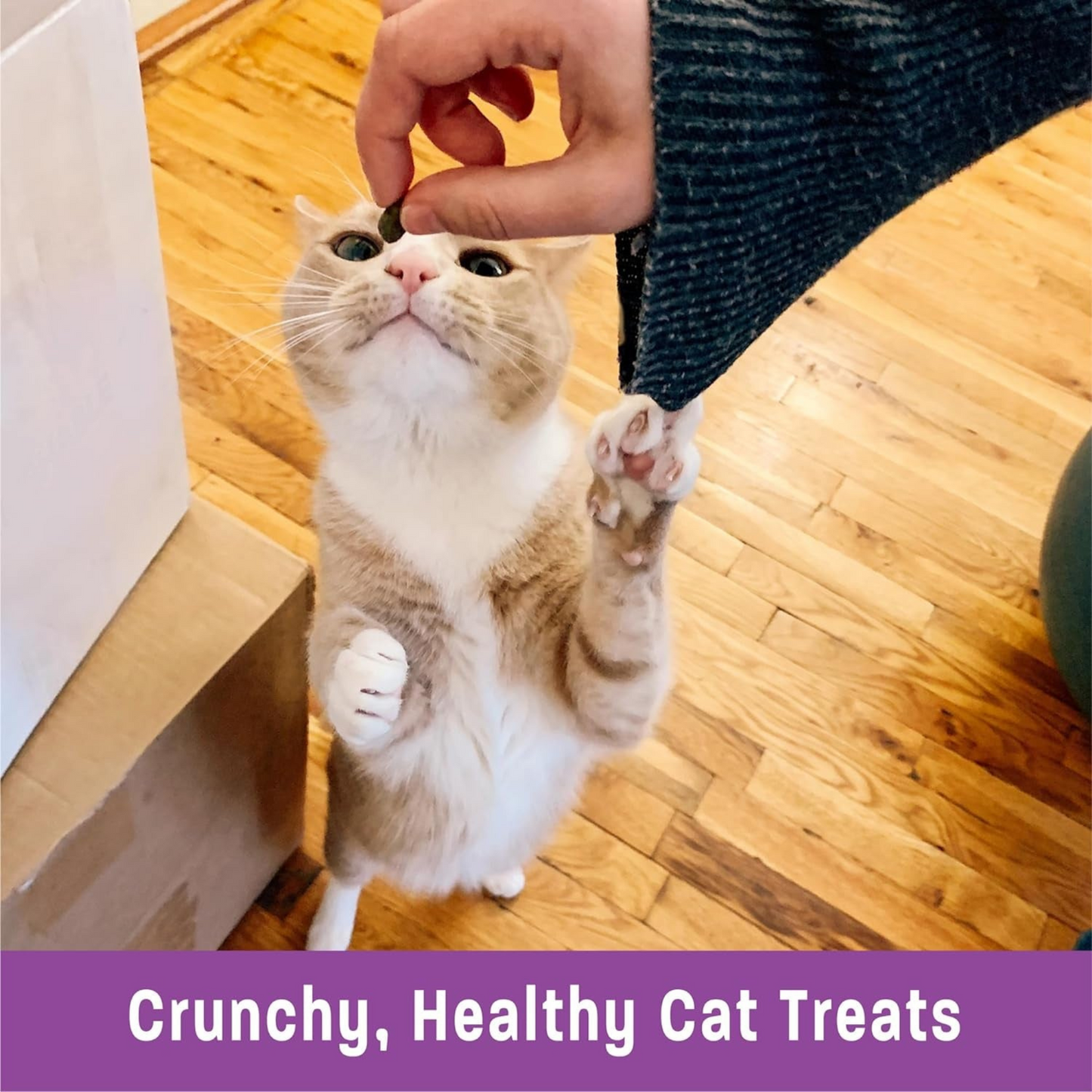 Kittles Crunchy Cat Treats – Grain-Free Chicken & Cranberry Delight, 2 oz – Wholesome Snacks for All Life Stages!