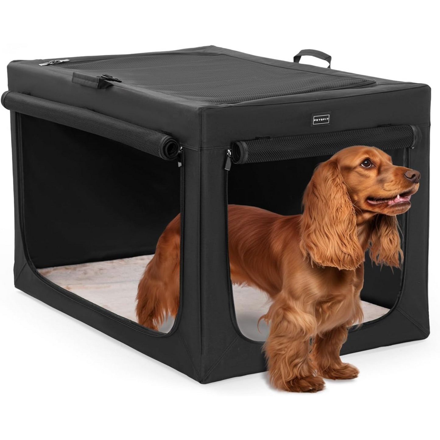 Paw Luxe Soft Dog Travel Crate – Portable, Adjustable Kennel with Chew-Proof Mesh, Thick Mat, and Ventilated Windows – Ideal for Indoor & Outdoor Use, 24"