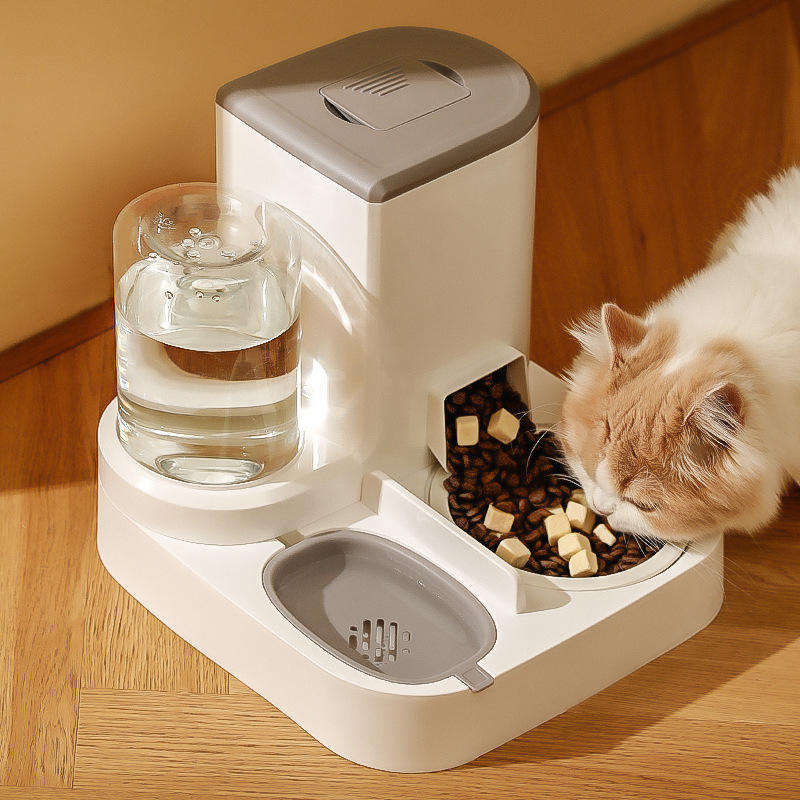 Automatic Pet Feeder with Stainless Steel & Ceramic Bowl Options - Paw Luxe