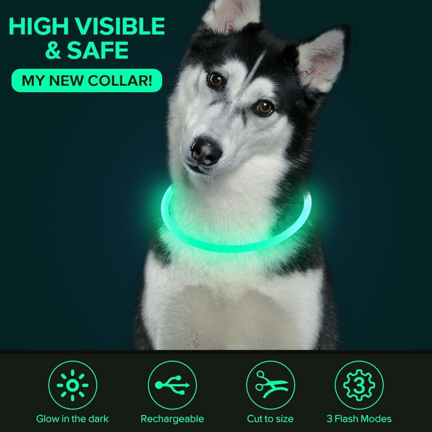 USB Rechargeable LED Dog Collar – Glow-in-the-Dark Safety Collar for Small, Medium, and Large Dogs, Durable TPU Light-Up Design (Cyan)