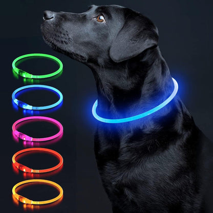USB Rechargeable LED Dog Collar – Glow-in-the-Dark Safety Collar for Small, Medium, and Large Dogs, Durable TPU Light-Up Design (Cyan)