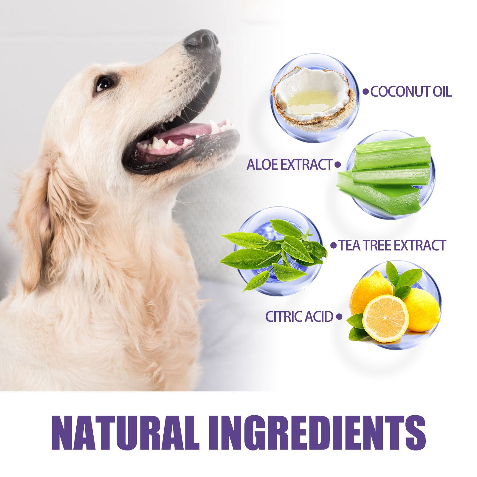 JAYSUING Pet Cleaning Glove Wipes — Dental & Gum Care - Paw Luxe