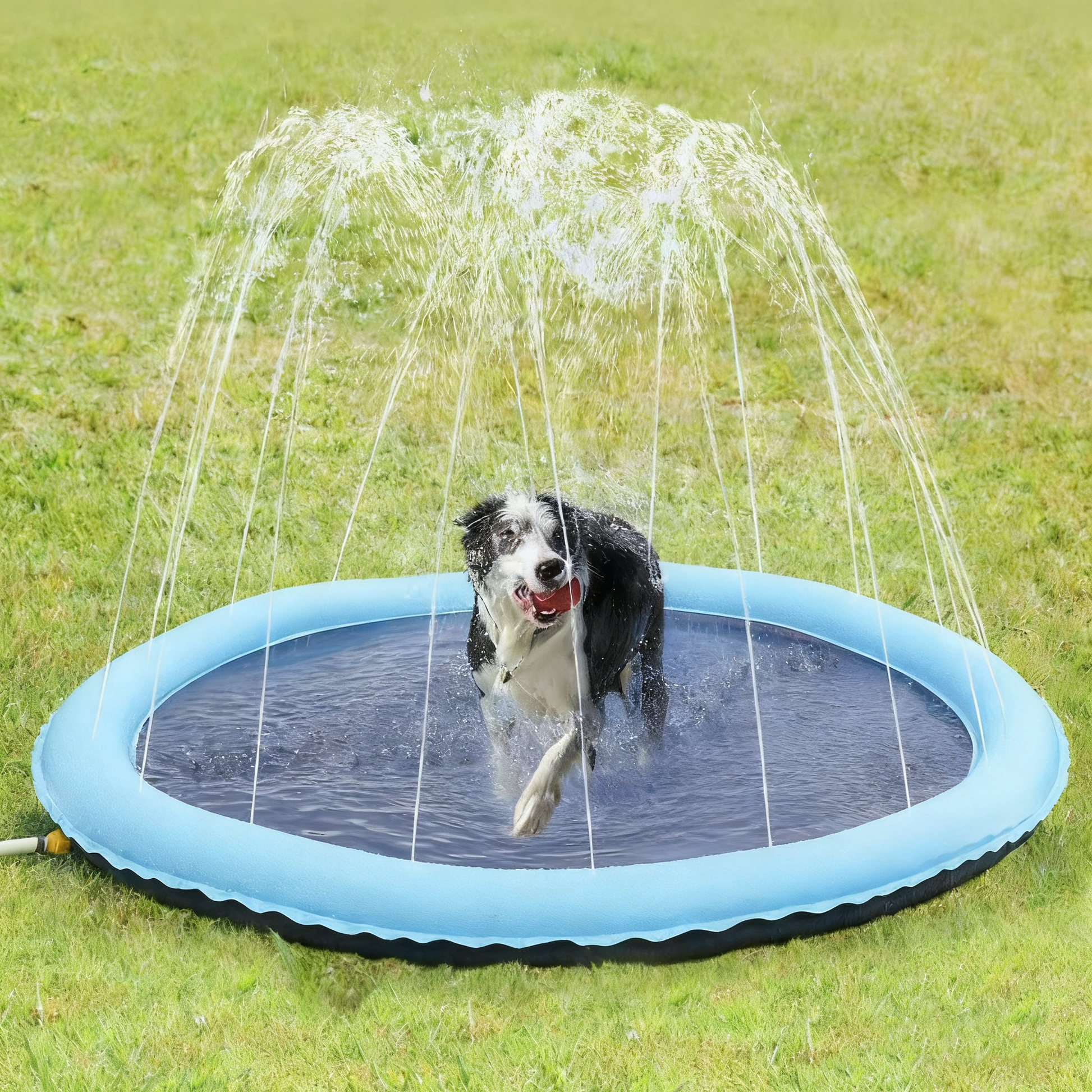 Thickened PVC Pet Splash & Play Sprinkler Mat - Paw Luxe