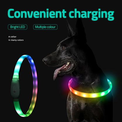 Pet Luminous Collar Pet Collar USB Charging Dog Night Aperture Led Collar Safe Dog Walking - Paw Luxe