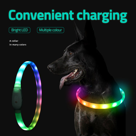 Pet Luminous Collar Pet Collar USB Charging Dog Night Aperture Led Collar Safe Dog Walking - Paw Luxe