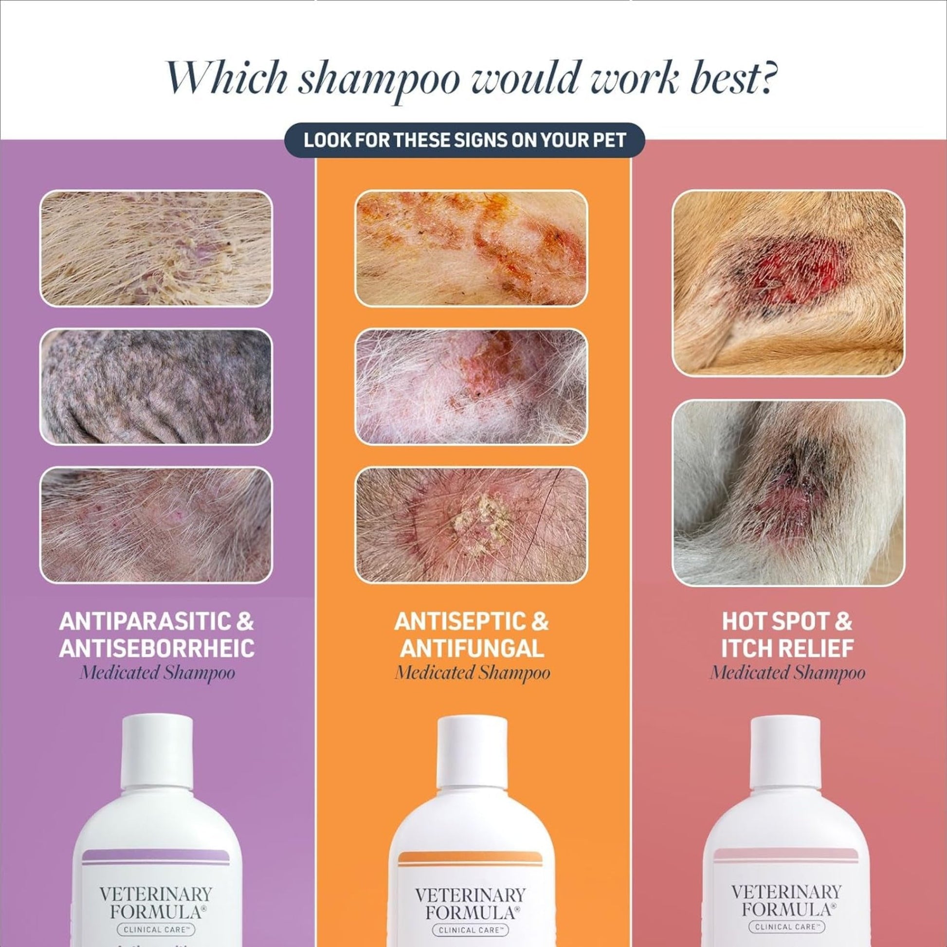 Clinical Care Antiseptic & Antifungal Medicated Shampoo for Dogs & Cats – 16 oz | Relieves Scaly, Greasy, Irritated Skin | Paraben & Soap-Free Formula for Healthy Coat & Comfort (1 Pack)