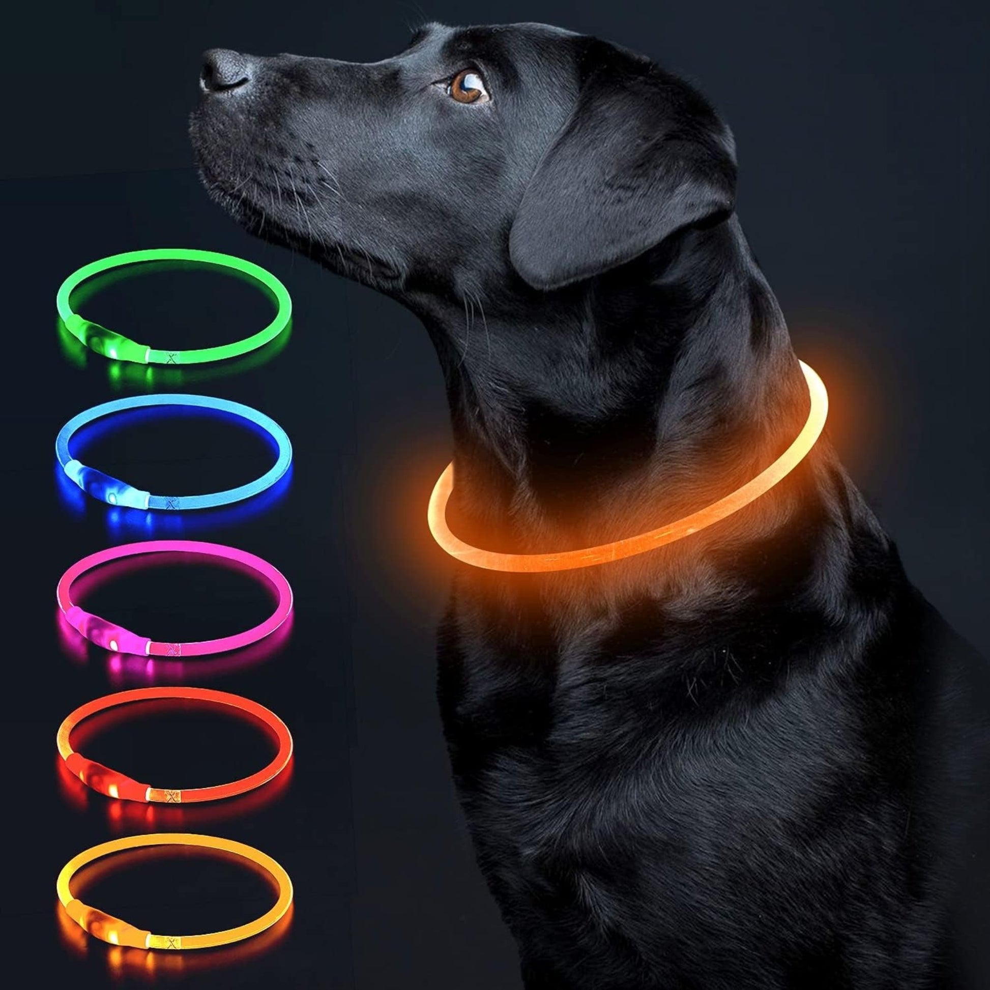 USB Rechargeable LED Dog Collar – Glow-in-the-Dark Safety Collar for Small, Medium, and Large Dogs, Durable TPU Light-Up Design (Cyan)