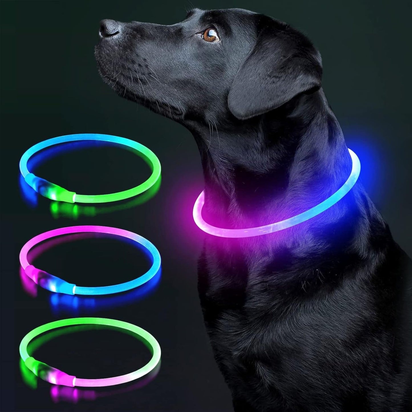 USB Rechargeable LED Dog Collar – Glow-in-the-Dark Safety Collar for Small, Medium, and Large Dogs, Durable TPU Light-Up Design (Cyan)