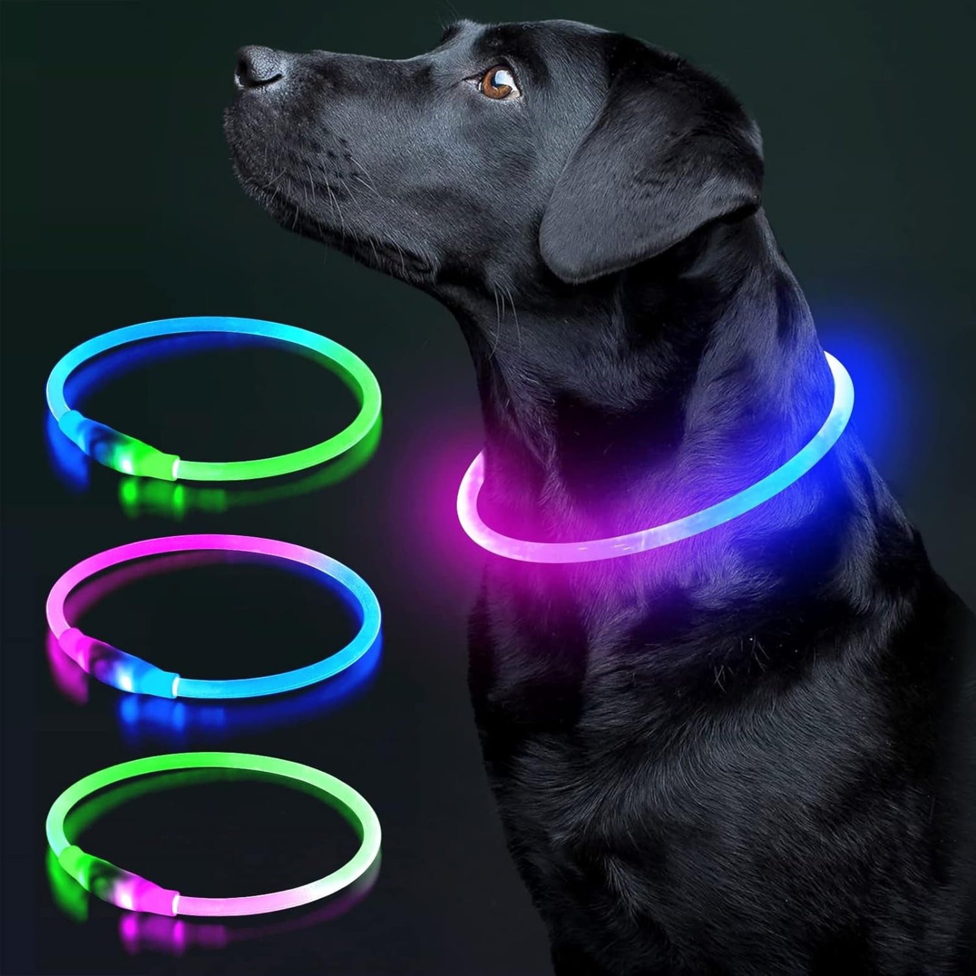 USB Rechargeable LED Dog Collar – Glow-in-the-Dark Safety Collar for Small, Medium, and Large Dogs, Durable TPU Light-Up Design (Cyan)