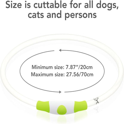 USB Rechargeable LED Dog Collar – Glow-in-the-Dark Safety Collar for Small, Medium, and Large Dogs, Durable TPU Light-Up Design (Cyan)