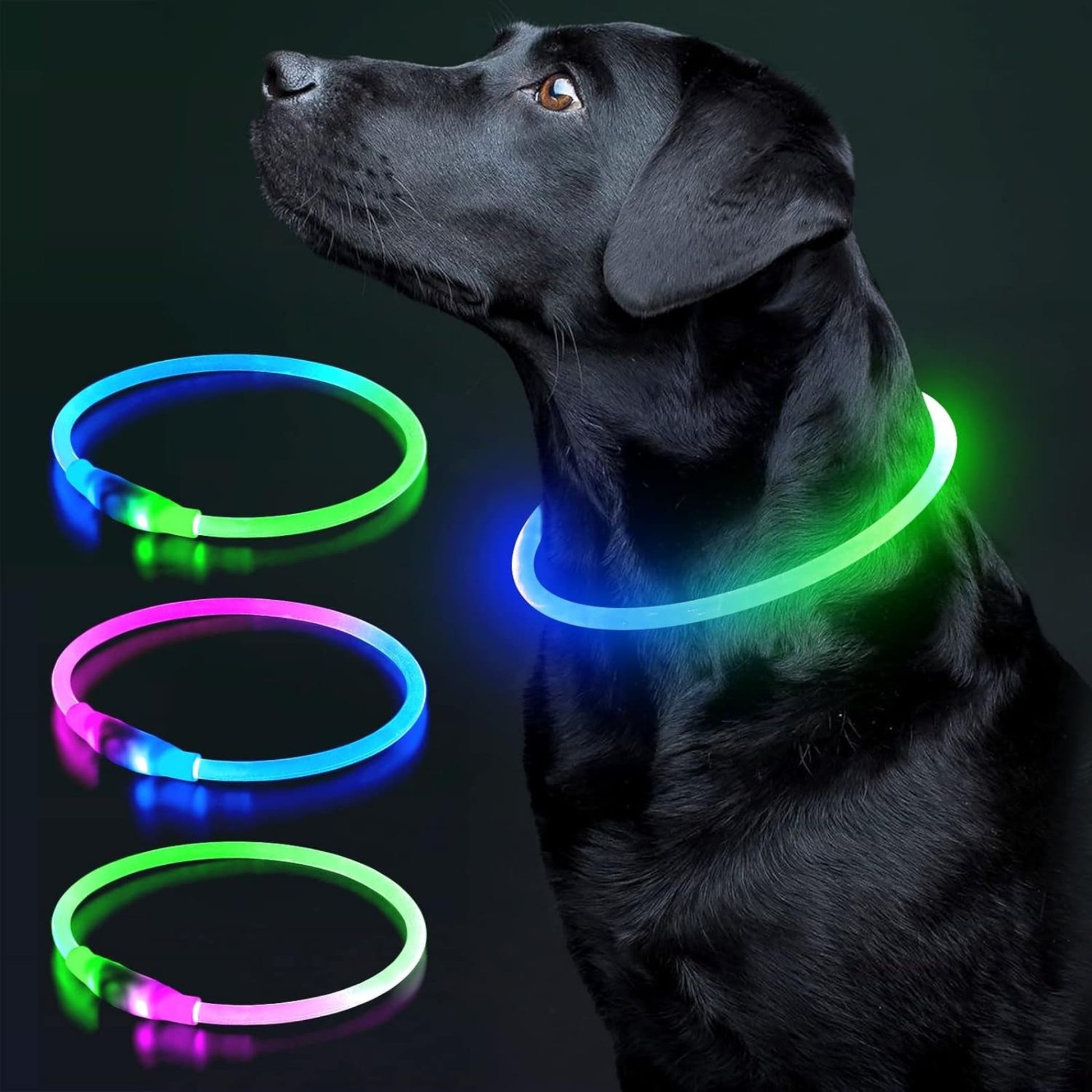 USB Rechargeable LED Dog Collar – Glow-in-the-Dark Safety Collar for Small, Medium, and Large Dogs, Durable TPU Light-Up Design (Cyan)