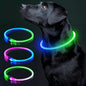 USB Rechargeable LED Dog Collar – Glow-in-the-Dark Safety Collar for Small, Medium, and Large Dogs, Durable TPU Light-Up Design (Cyan)
