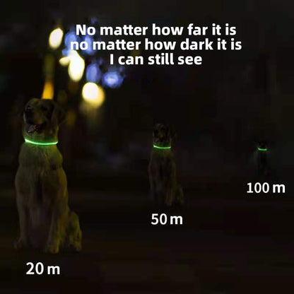 LED Flashing Luminous Dog Collar - Paw Luxe