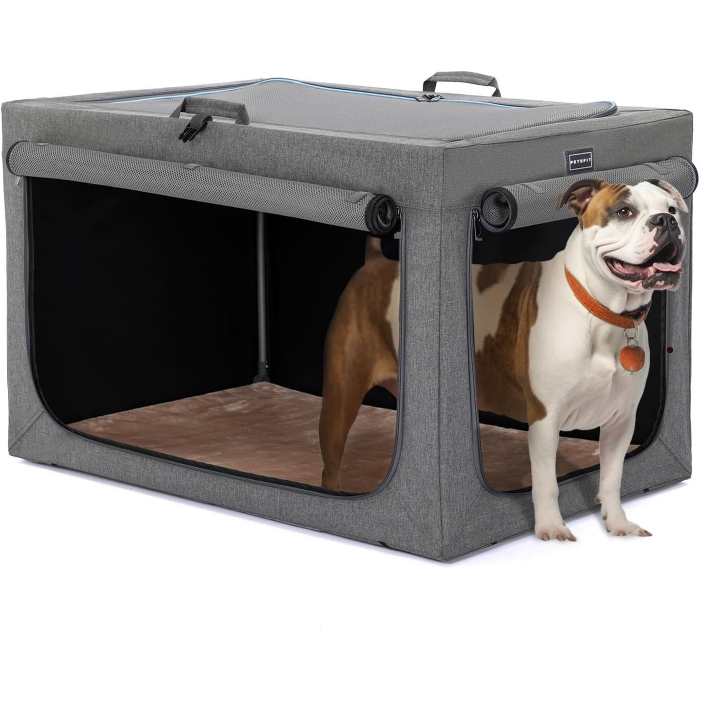 Paw Luxe Soft Dog Travel Crate – Portable, Adjustable Kennel with Chew-Proof Mesh, Thick Mat, and Ventilated Windows – Ideal for Indoor & Outdoor Use, 24"