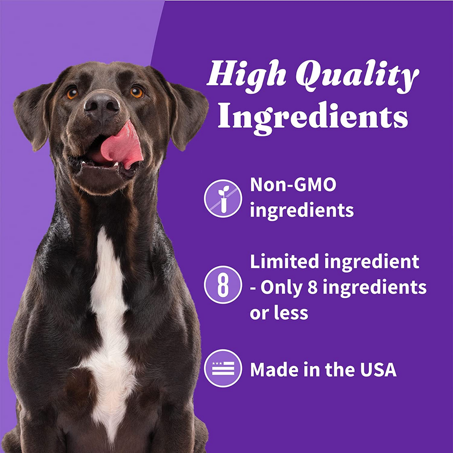 Halo Vegan Dog Treats Variety Pack – Crunchy Plant-Based Goodness with Oats & Blueberries, Peanut Butter & Banana, and Peanuts & Pumpkin Flavors – 8 oz, 3-Pack