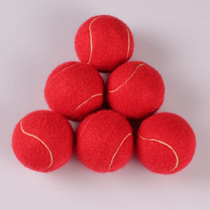 Colorful Pet Tennis Balls — Training & Play Set - Paw Luxe