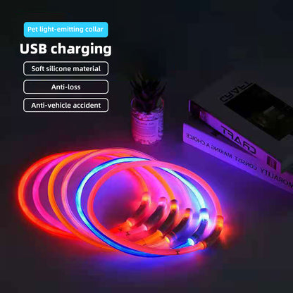 LED Flashing Luminous Dog Collar - Paw Luxe