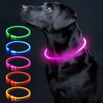 USB Rechargeable LED Dog Collar – Glow-in-the-Dark Safety Collar for Small, Medium, and Large Dogs, Durable TPU Light-Up Design (Cyan)