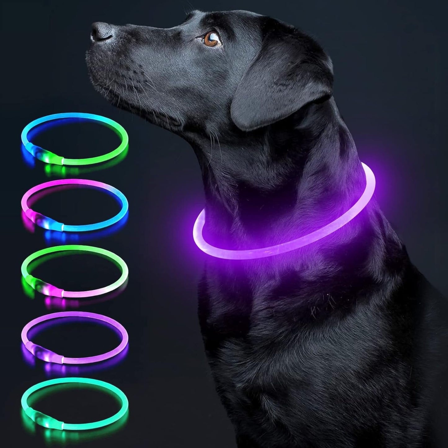 USB Rechargeable LED Dog Collar – Glow-in-the-Dark Safety Collar for Small, Medium, and Large Dogs, Durable TPU Light-Up Design (Cyan)