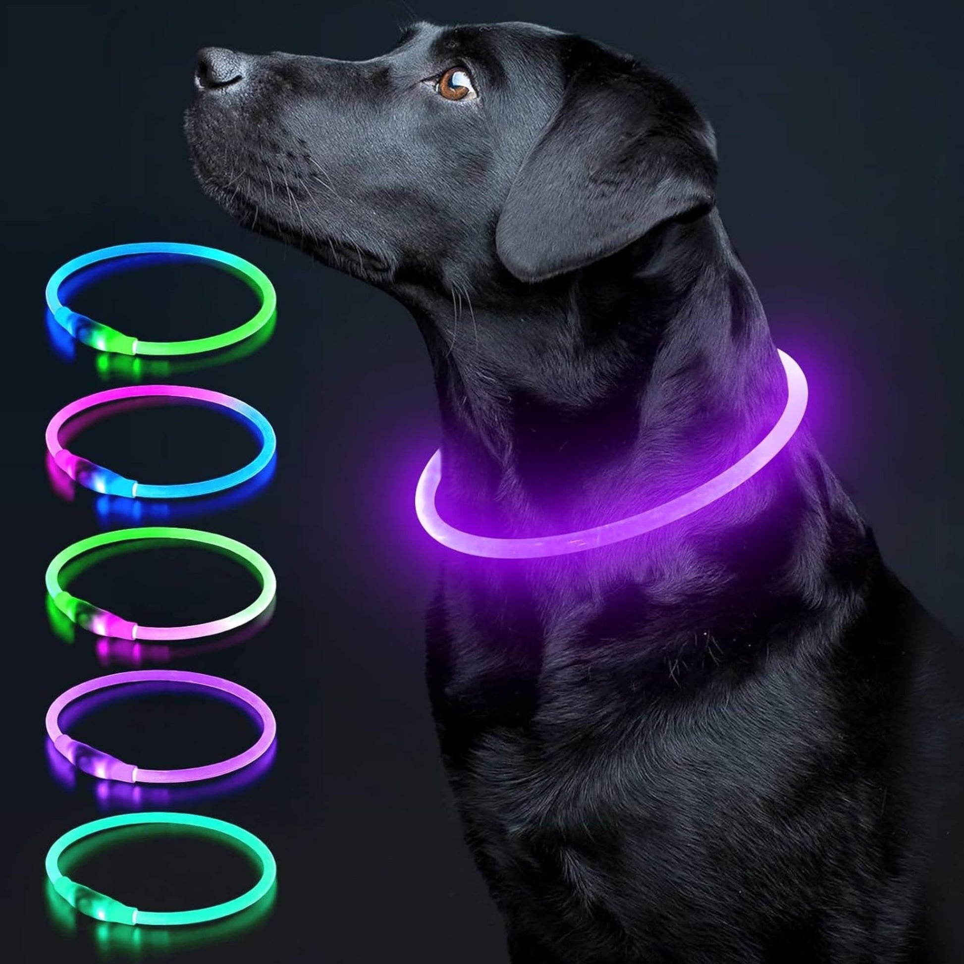 USB Rechargeable LED Dog Collar – Glow-in-the-Dark Safety Collar for Small, Medium, and Large Dogs, Durable TPU Light-Up Design (Cyan)