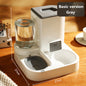 Automatic Pet Feeder with Stainless Steel & Ceramic Bowl Options - Paw Luxe
