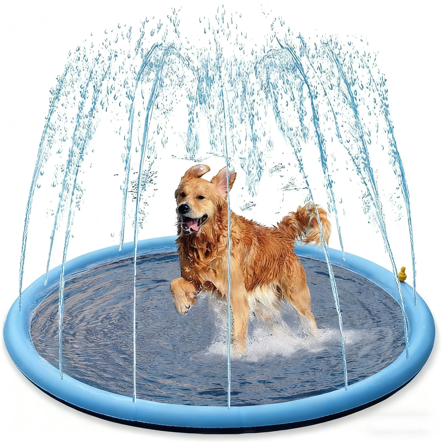 Thickened PVC Pet Splash & Play Sprinkler Mat - Paw Luxe