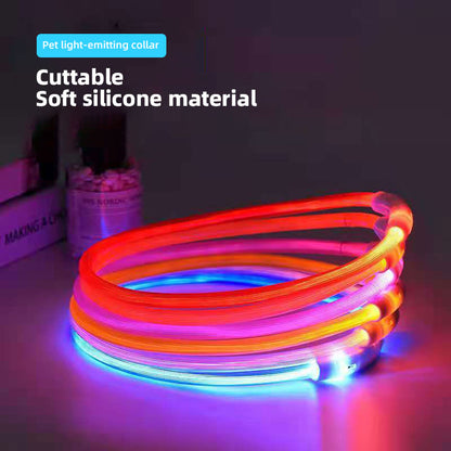 LED Flashing Luminous Dog Collar - Paw Luxe
