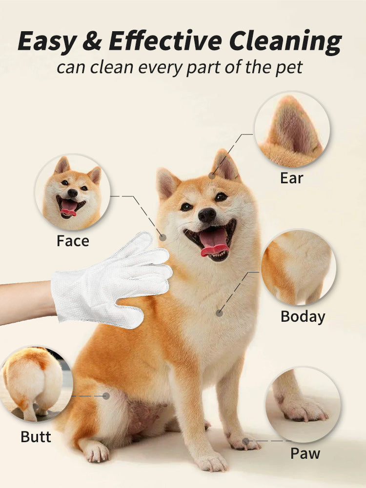 No-Rinse Pet Cleaning Gloves (Pack of 20) - Paw Luxe