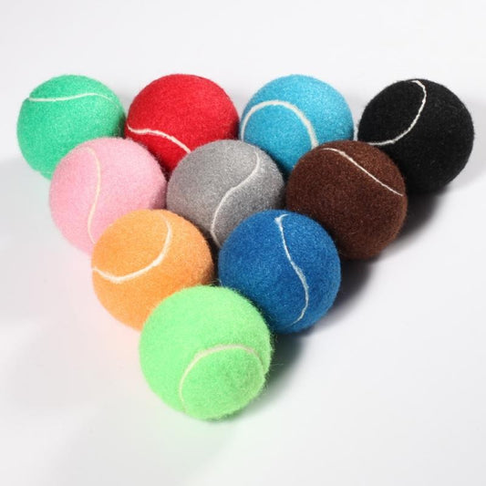 Colorful Pet Tennis Balls — Training & Play Set - Paw Luxe