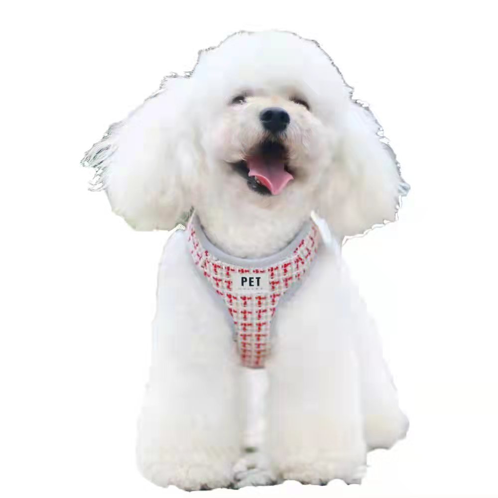 Breathable Vest Harness & Leash Set for Cats & Dogs - Paw Luxe