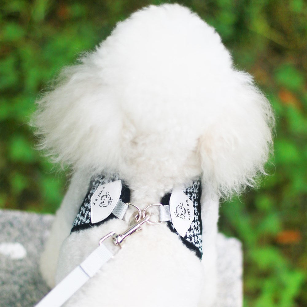 Breathable Vest Harness & Leash Set for Cats & Dogs - Paw Luxe