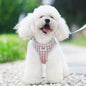 Breathable Vest Harness & Leash Set for Cats & Dogs - Paw Luxe