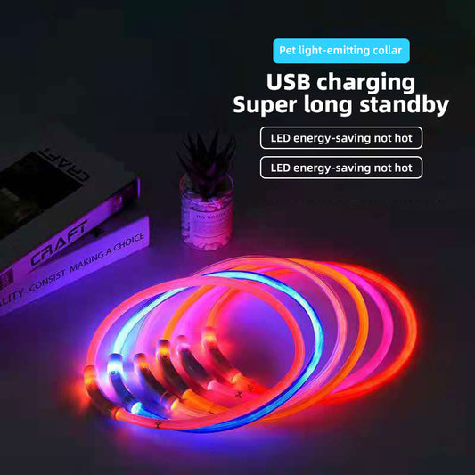 LED Flashing Luminous Dog Collar - Paw Luxe