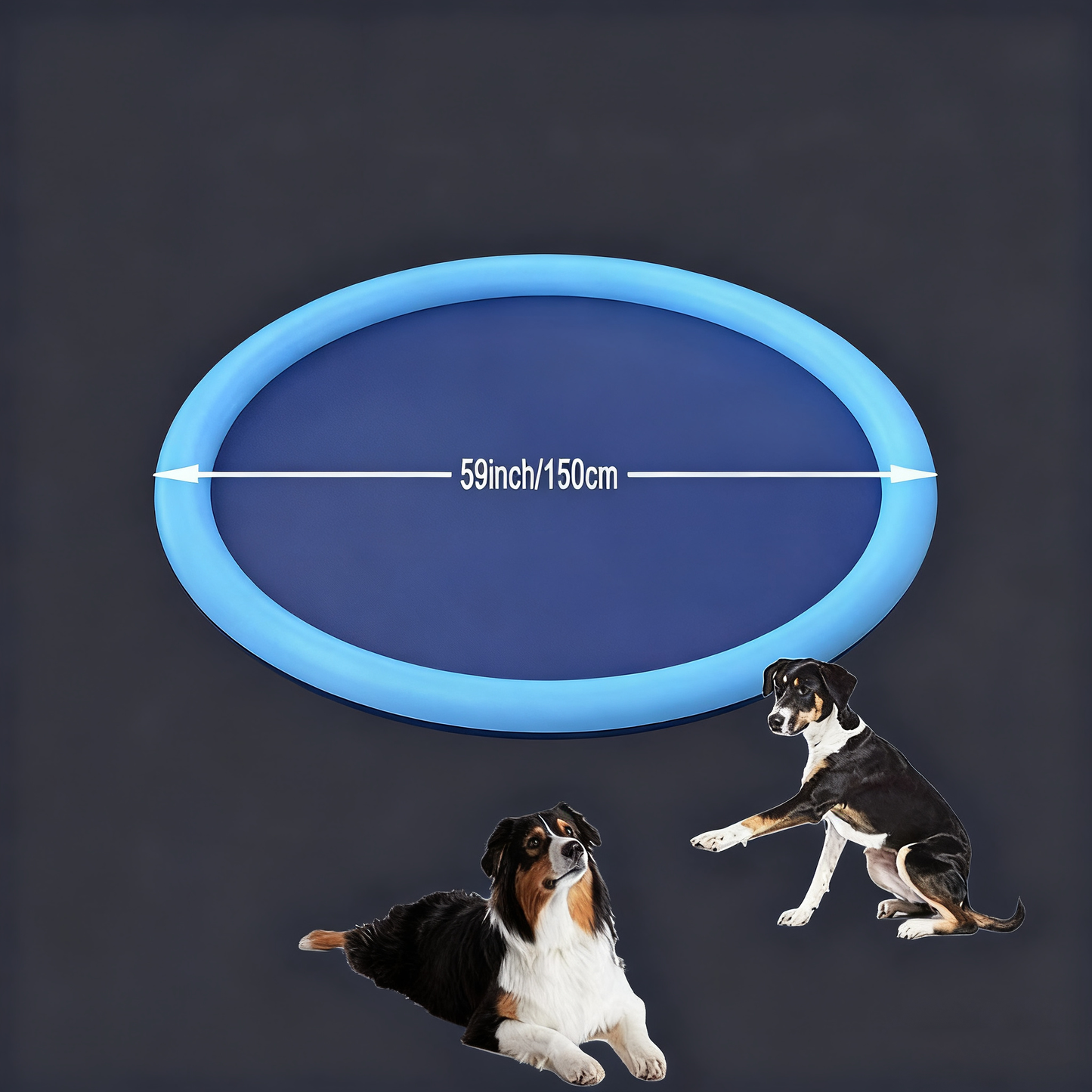 Thickened PVC Pet Splash & Play Sprinkler Mat - Paw Luxe