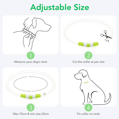 USB Rechargeable LED Dog Collar – Glow-in-the-Dark Safety Collar for Small, Medium, and Large Dogs, Durable TPU Light-Up Design (Cyan)