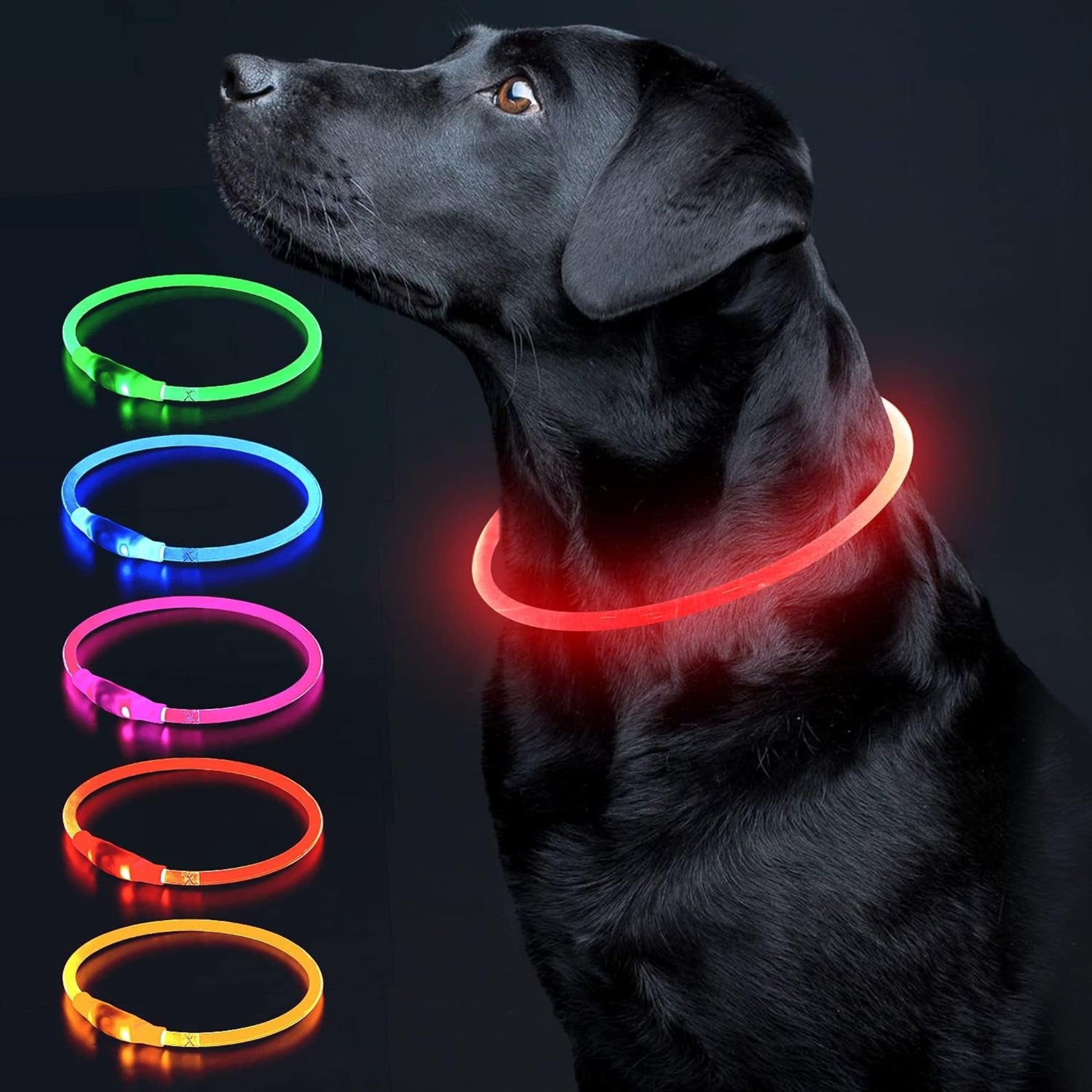 USB Rechargeable LED Dog Collar – Glow-in-the-Dark Safety Collar for Small, Medium, and Large Dogs, Durable TPU Light-Up Design (Cyan)