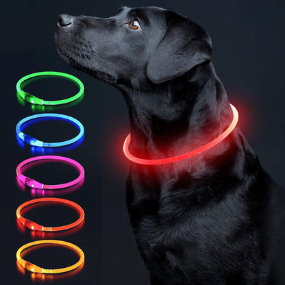 USB Rechargeable LED Dog Collar – Glow-in-the-Dark Safety Collar for Small, Medium, and Large Dogs, Durable TPU Light-Up Design (Cyan)